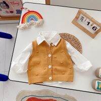 （Good baby store） Cardigan Sweater Vest 2022 Autumn Warm Knitted Vest Sweater Boys Girls Kids Casual Sleeveless Jacket Baby Girls Knitwear Coats