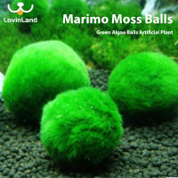 Lovinland Marimo Moss Balls Algae FishShrimp Tank Ornament พิพิธภัณฑ์สัตว์น้ำจำลองสาหร่ายสีเขียว Balls