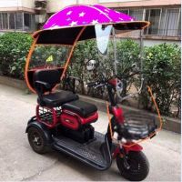 【LZ】 Electric Tricycles Canopy Double Seaters Push-pull and Walkable Tricycles Umbrellas Electric Motorcycle Canopy Bike Cover