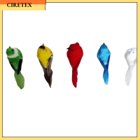 CIRETEX 5 Pcs ขนนกและโฟมเทียม นกขนนกเทียม สีสันสดใส เล็กๆน้อยๆ นกแก้วปลอมสำหรับงานฝีมือฤดูร้อนป่าสมัยใหม่ เครื่องรางเขตร้อน เครื่องประดับตกแต่งรูปนก สวนในสวน