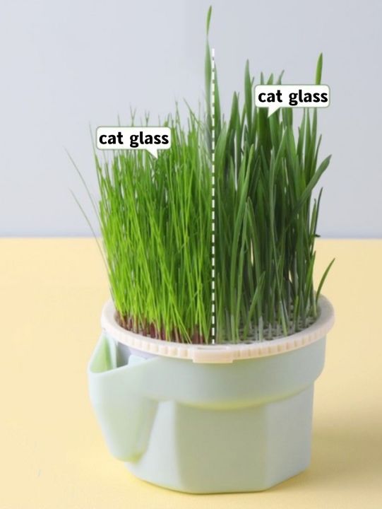 hierarchical-design-cat-grass-cultivation-cup-with-soilless-cultivation-reusable-catnip-growing-container-seed-germination-tray