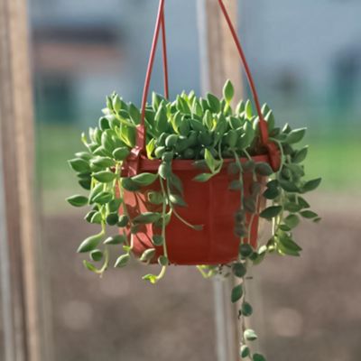 [Like Activities] DurableBasket Reusable Hanging Pot Heighten PlasticPotResistant Hanging Planter Decor Pot For Outdoor