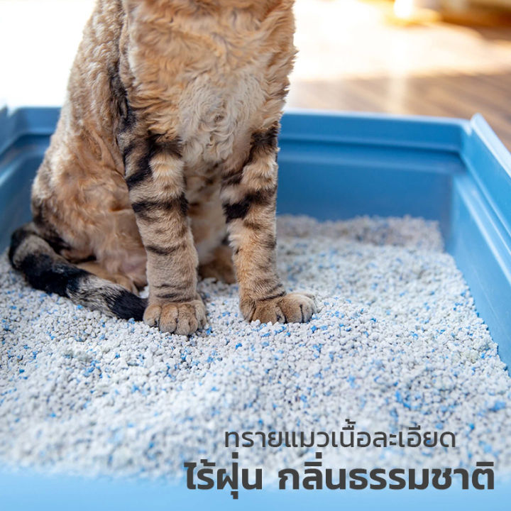 ทรายแมว-catme-ทรายแมวไร้ฝุ่น-ทรายแมวดับกลิ่น-ทรายแมวหินภูเขาไฟธรรมชาติ-ทรายแคทมี-catme-sand-ขนาด-10l-มี-4-กลิ่น-ปลอดภัย-ไร้สารเคมี-petitz