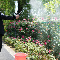Garden Watering Spray USB Automatic Electric Sprayer Nozzle Sprinkler Garden Plant Mister Watering Can Spray Irrigation Tool