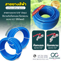 สายยางเอนกประสงค์ สายยางสีฟ้า สายยาง PVC เกรด A 100% ขนาด 5/8 นิ้ว (5 หุน) ขนาด 10/20/30/50 เมตร (แถมฟรี!! แหวนออบิทต่อก๊อก) พร้อมส่ง ราคาถูก