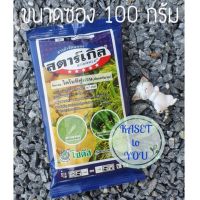 มาใหม่จ้า สตาร์เกิล ขนาด 100 กรัม กำจัดเพลี้ยกระโดดสีน้ำตาล เพลี้ยจักจั่น แมลงหวี่ขาว เพลี้ยไฟ เพลี้ยแป้ง เพลี้ยอ่อน (ไดโนทีฟูแรน) HOT ต้นไม้ ฟอก อากาศ กระถาง ต้นไม้ ไม้ ประดับ ต้นไม้ ปลูก ใน บ้าน