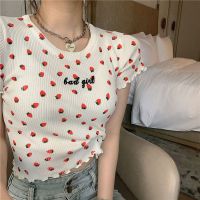 Knitted Tshirt Women Fashion Casual Tops Round Neck Short Sleeve T Shirt Korean Style Slim Tee