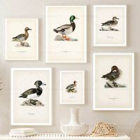 Vintage เป็ดพิมพ์ Rustic Mallard เป็ดนก Lake Wall Art โปสเตอร์ Retro ธรรมชาติภาพวาดผ้าใบภาพ Farmhouse Room Decor ใหม่0922