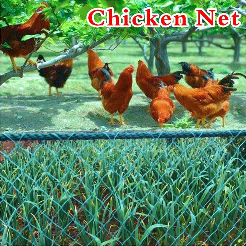 Chicken net /Range net /Poultry - Chicken NET or Range Net