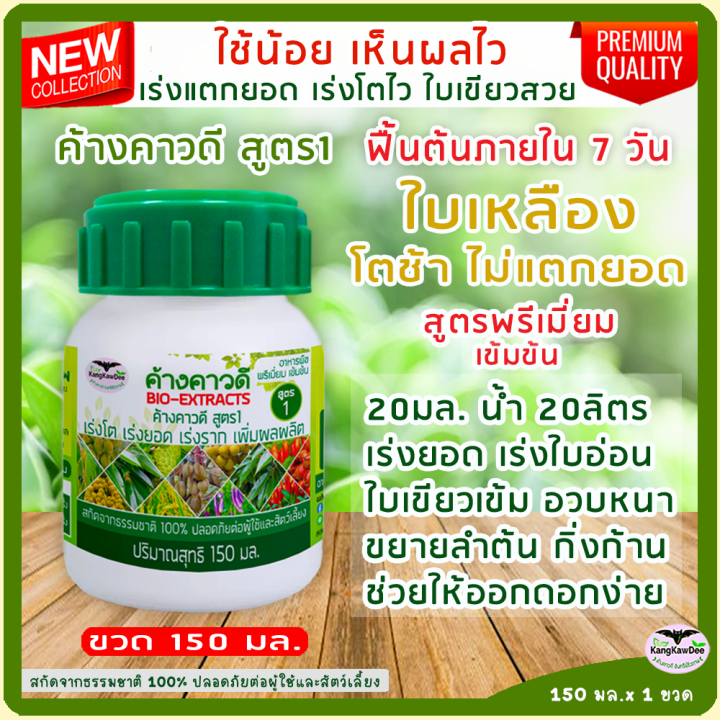 พืชใบเหลือง-ไม่โตไม่แตกยอด-ฟื้นบำรุงต้นใบราก-เร่งโตไว-เร่งแตกยอด-ขยายลำต้น-ติดดอกติดผลดก-ปุ๋ยน้ำทางใบ-ค้างคาวดี-สูตร1-150มล