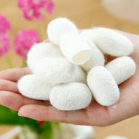 【cw】 Pcs Silkworm Balls Purifying Whitening Exfoliating Blackhead Remover Silk Cocoons Facial 1