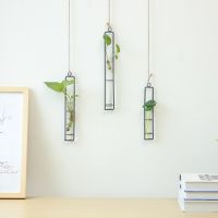 【CW】♈☒▲  3 Sizes Hanging Glass Iron Hydroponic Vase Transparent Test Tube Bottle Decoration