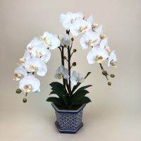 Oriental Fine Art กระถางกล้วยไม้ประดิษฐ์ ดอกไม้แสดงความยินดี Artificial orchid arrangement ดอกไม้ตกแต่งบ้าน