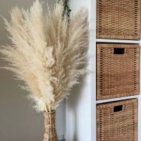 【LZ】☎㍿  80cm sala de estar grande decoração pampas secas naturais grama pampas fofo buquê boho flores secas longo arco do casamento decoração