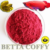 Carophyll Chất tạo màu Đỏ Vàng cho cá cảnh - BETTA COFFY thumbnail