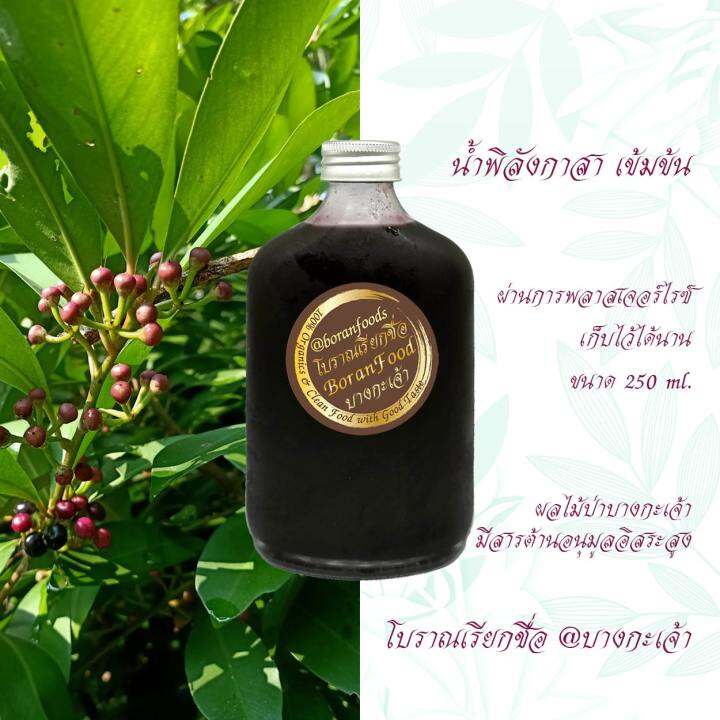 น้ำพิลังกาสาเข้มข้น-ขนาด-250-ml