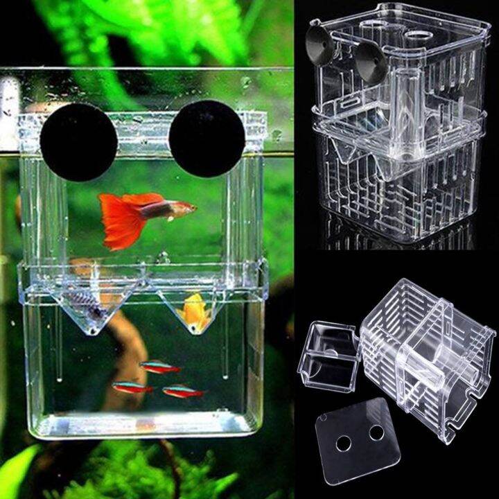 PCTYL36665 Transparent Sucker Floating Design Acrylic Divider DoubleDeck Fish Tank Incubator