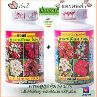 ปุ๋ยบอนสี คาลาเดียม ขนาด 250 cc แตกหน่อไวใบสวย สมบูรณ์ สีสด 2สูตรแพคคู่