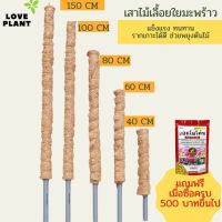 หลักไม้เลื้อย เสาใยมะพร้าว เสาไม้เลื้อย หลักไม้เลื้อย ขนาด20-150Cm. สวย แข็งแรง ทนทาน รากเกาะได้ดี ช่วยพยุงต้นไม้