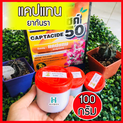 ยากันเชื้อรา cactus ยากันราแคปแทน (Captan - Captacide 50) ราในกระบองเพชร ไม้อวบน้ำ แคคตัส ไม้ประดับ ยาเพาะเมล็ด ฆ่าเชื้อราในดิน แคปแทน แบ่งขาย 100 g homes