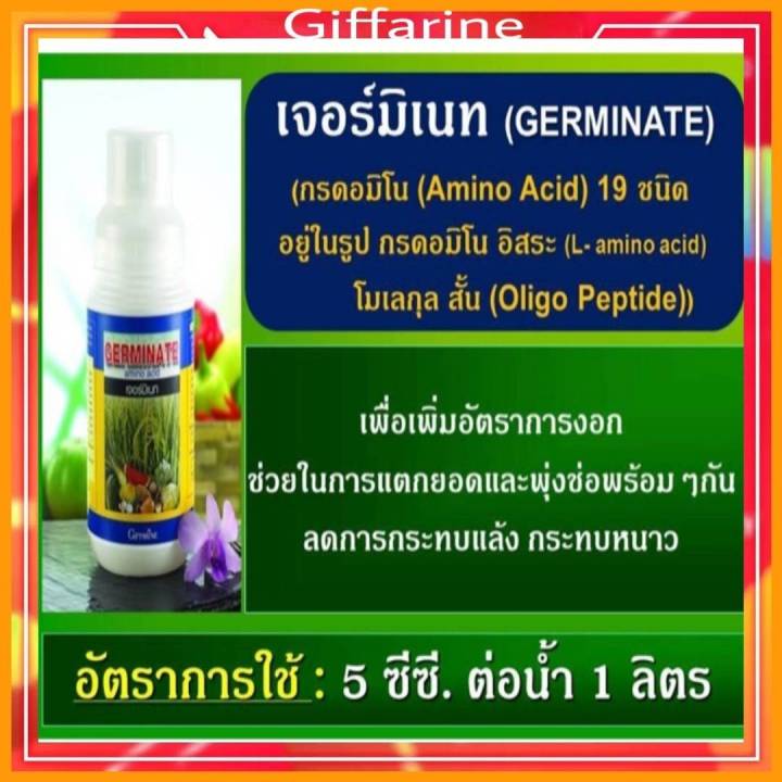 กิฟฟารีน-ปุ่ย-เจอรมิเนท-กรดอะมิโน-19ชนิด-สกัดจากพืช-แช่เมล็ดข้าวก่อนเพาะ-ราดเมล็ดข้าว-giffarine