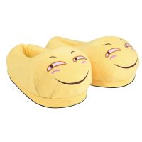 New Expression Slippers Cartoon Men Indoor Warm Cotton Couple Poop Slides