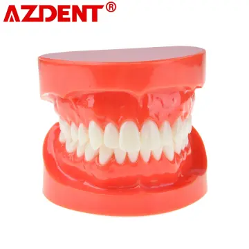 Răng tháo lắp là gì Có nên dùng răng tháo lắp không  Tân Định Dental