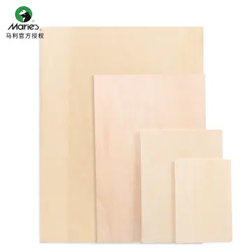 6Pcs Basswood Carving Blocks for Wood Beginners Carving Hobby Kit DIY  Carving Wood 