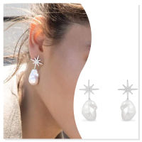 925 sterling silver zircon silver hexagram pearl earrings holiday gift 2022 new fashion cool wind high quality luxury boutique