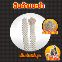 เข็มขัด-เข็มขัดไข่มุกพร้อมหัวเข็มขัด