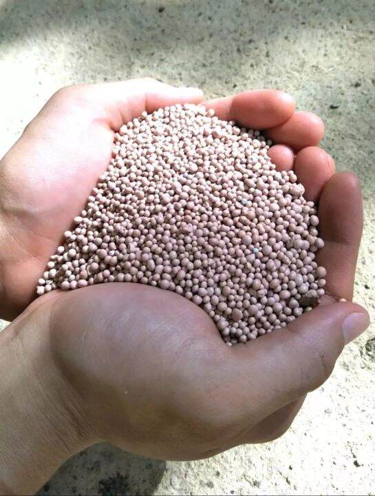 SWIRE High Quality Complete Fertilizer 141414 ( 200 Grams ) Lazada PH