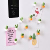 6pcs 3D Succulent Plant Message Board Sticker Fridge Refrigerator Magnets Cute Button Cactus Decoration Gadget Tool Ornament