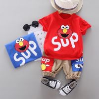 ชุดเซ็ทเด็กเเฟชั่น เสื้อ+กางเกง 2ชิ้น มาใหม่  TNSUP-11