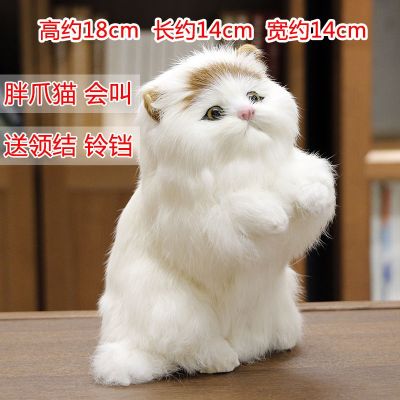 Will call the cat cat simulation animal model hardware static place childrens toy dolls to send his girlfriend