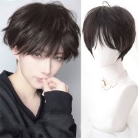 AILIADE Boy Short Straight Bangs Cosplay Daily Party Anime Mens Wigs Heat Resistant Synthetic Curls  For Women Girls Hair Wigs Wig  Hair Extensions P