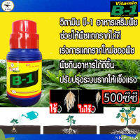 น้ำยาเร่งราก B1 ขนาด 500 มล.วิตามินเร่งราก เร่งการงอก แช่เมล็ดพันธุ์ แช่กิ่งตอน ปักชำ