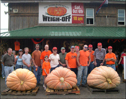 ฟักทองยักษ์-บรรจุ5เมล็ด-atlantic-giant-pumpkin-ใหญ่ที่สุดในโลก-ผลใหญ่มากหนักเกือบ1-ตัน