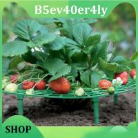 B5ev40er4ly SHOP 5pcs Garden Strawberry Plant Stand Frame Holder Balcony Planting Rack Support Fruit Flower Climbing Gardening Tools