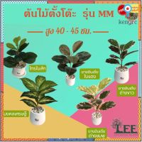 (( มาใหม่ ร้านแนะนำ !!! )) (Minimal Style !!!) ต้นไม้ตั้งโต๊ะพร้อมกระถาง “รุ่น MM” สูง 35-40 ซม. ต้นไม้ปลอมตกแต่งบ้าน สินค้ามีจำนวนจำกัด