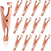 2Pcs/Box Skin Tags Remover Small Clip /Skin Tags Remover Copper Small Wart Tattoo Clip Extractor Tools /Smooth Skin Copper Tag Out Wart Tag Extractor