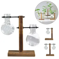 Florarium Hydroponic Plant Vases Vintage Flower Pot Vase Wooden Frame Glass Tabletop Plants Home Bonsai Decor Plant Terrarium