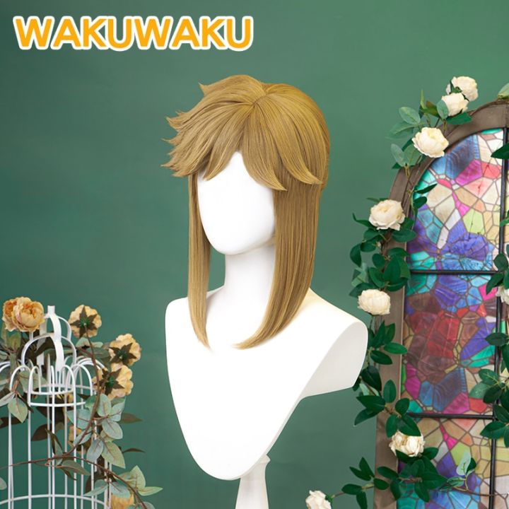 link-wig-game-breath-of-the-wild-tears-of-the-kingdom-wakuwaku-link-wig-high-heat-resistant-women-men-cosplay-wig-free-wig-cap