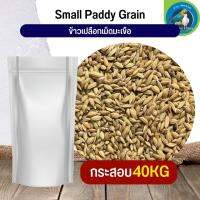 สุดยอด ข้าวเปลือกมะเขือ Small Paddy Grian อาหารนก กระต่าย หนู กระต่าย กระรอก ชูก้า และสัตว์ฟันแทะ (กระสอบ 30KG)