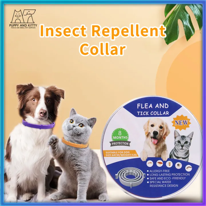 are flea and tick collars appropriate for dogs