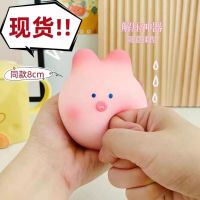 Zhao Rusi Sang Zhi Net Celebrity Same Cute Piglet Decompression Small Toy Pinch Le Vent Artifact Explosions Toy