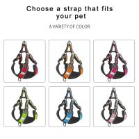 Vest-style Dog Harness Small Dog Harness Arnes Perro Puppies Walking Dog Leash Harnais Chien Cat Accessories Dog Accessories