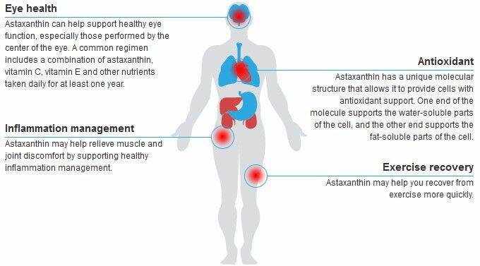 สาหร่ายแดง-แอสต้าแซนธิน-astaxanthin-12mg-60-quick-release-softgels-pipingrock-piping-rock