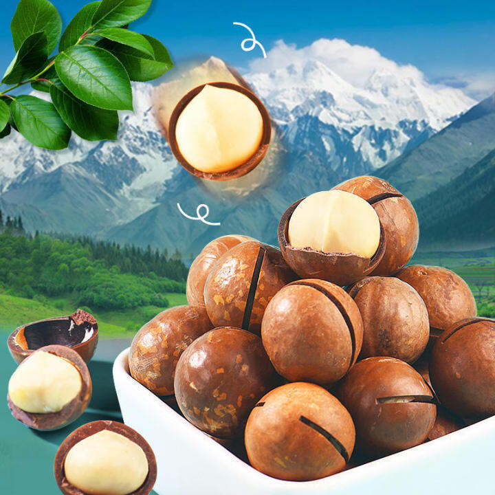 xbydzsw-macadamia-milk-flavor-big-fruit-cream-flavored-nuts-250g