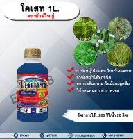 โคเสท 1L. ตรายักษ์ใหญ่ กลูโฟซเนตแอมโมเนียม สารกำจัดวัชพืช กำจัดหญ้าใบแคบ ใบกว้าง กก หญ้าทุกชนิด