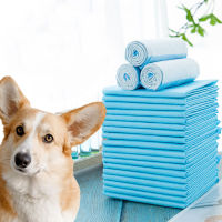 100504020PCS Absorbent Dogs Diapers Puppy Training Pee Pads Quick Dry Surface Mat Clean Cushion Dog Supplies